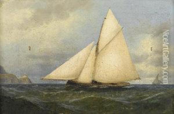 A Cutter Off The Baily Lighthouse, Howth Head Oil Painting - Alexander Williams