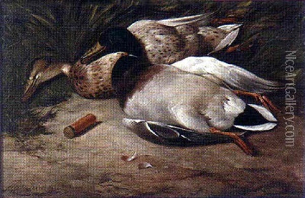 A Pair Of Dead Mallard Ducks Oil Painting - Colin Graeme