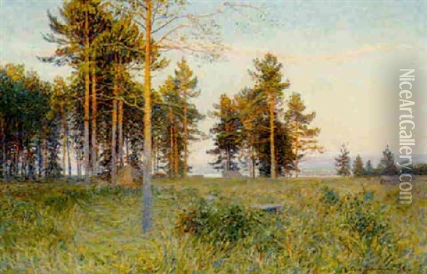 Summer Landscape Oil Painting - Carl (August) Johansson