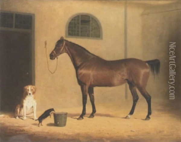 Portrait Of A Bay Hunter And Two Dogs, In A Stableyard Oil Painting - Henry Calvert