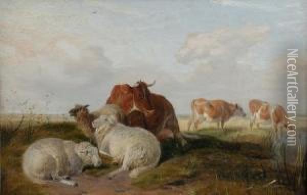 Sheep And Cattle In A Marshland Landscape By A Pond Oil Painting - Charles Jones