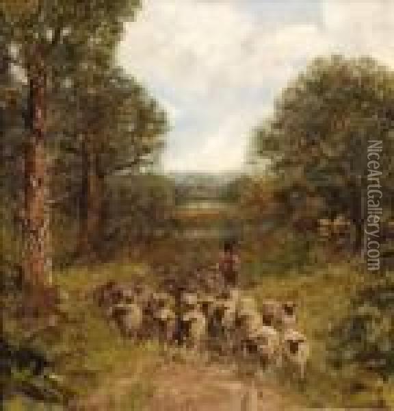 A Lane In Wales Oil Painting - David Cox