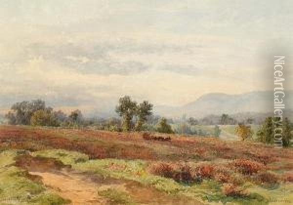 Redhill Common Oil Painting - Charles Topham Davidson