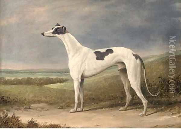 A prize greyhound in an extensive landscape Oil Painting - English School