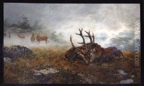 A Misty Woodland Landscape With Two Stags Locked In Combat Oil Painting - Carl Friedrich Zimmermann