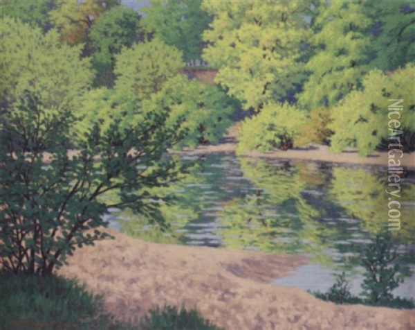 Forest Stream Oil Painting - Hedley Waycott