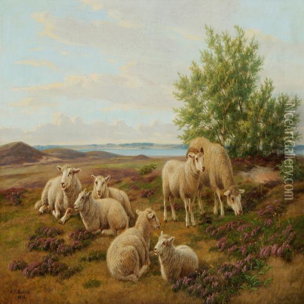 Sheeps In The Field With Flowering Heather Oil Painting - Andreas Peter Madsen
