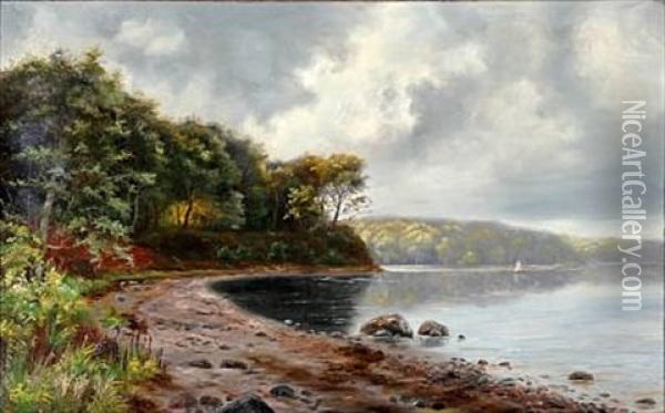 Silkeborgsoerne (view Of The Silkeborg Lakes, Jutland) Oil Painting - Janus la Cour