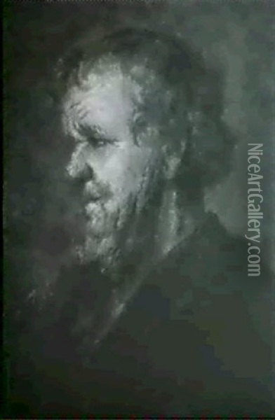 A Bearded Man Oil Painting - Karel van der Pluym