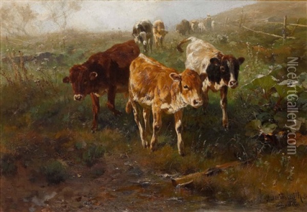 Jungvieh Auf Dem Heimweg Oil Painting - Anton Braith