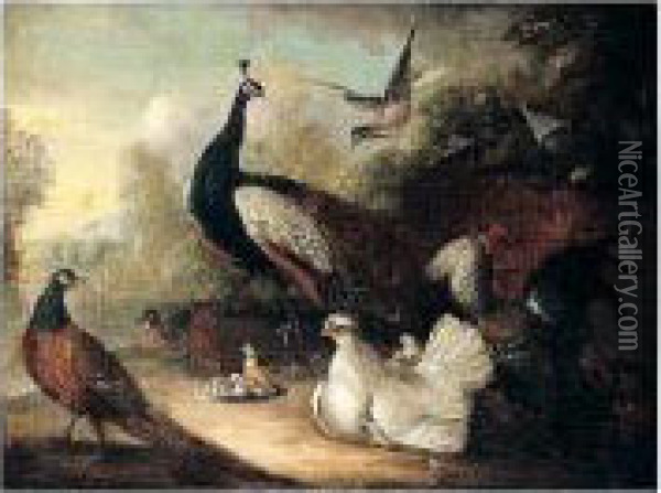 An Assembly Of Birds Oil Painting - Marmaduke Cradock