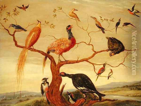 A Concert of Birds Oil Painting - Jan van Kessel