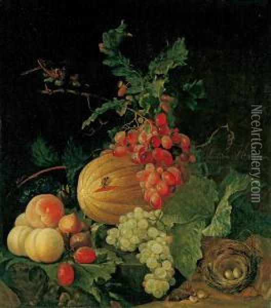 Stillleben Mit Fruchten Und Einem Vogelnest. Oil Painting - Justus van Huysum