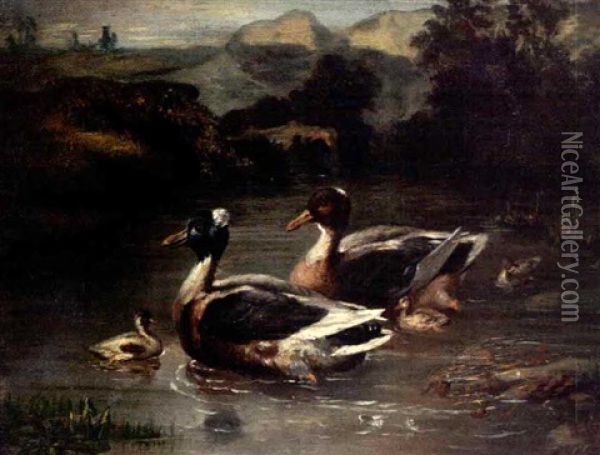 Ducks On A Pond Oil Painting - Harrison William Weir