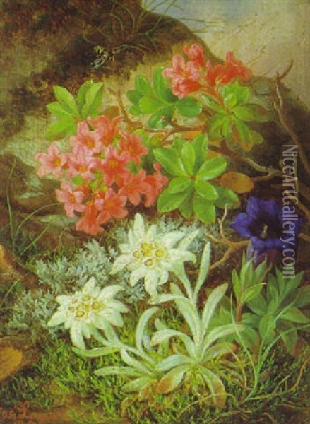 Edelweis, Almrausch Und Enzian Oil Painting - Josef Lauer