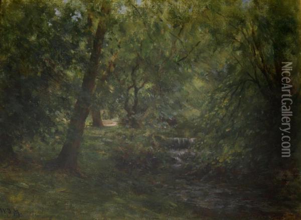 A Waterfall In A Woodland Glade Oil Painting - William Darling McKay
