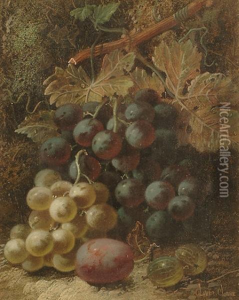 Still Life Of Grapes, Goosberries And A Plum On A Mossy Bank Oil Painting - Oliver Clare