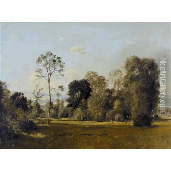 Sommerlicher Waldrand Oil Painting - Rudolf Mueller
