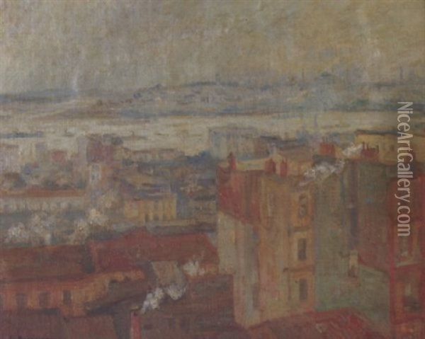 View Of Constantinople From Peran Oil Painting - Lykourgos Kogevinas