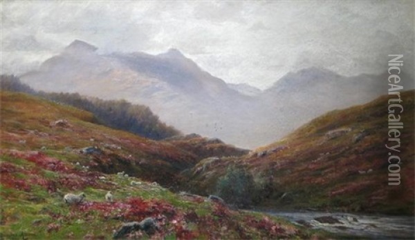 Mountain Pastures Oil Painting - Douglas Adams