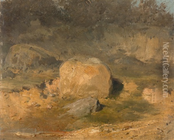 Findling Auf Der Wiese Oil Painting - Wilhelm Busch