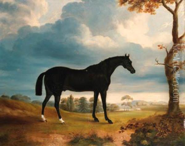 A Black Racehorse In An Extensive Landscape Oil Painting - George Morley