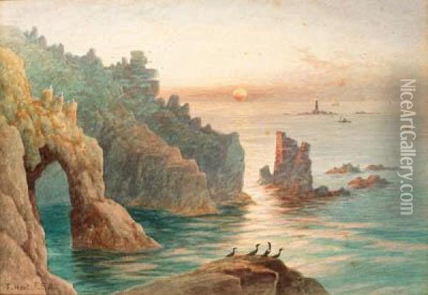 Sea Birds On A Rock Before A Coastal View Oil Painting - Thomas Strong,lt.Col Seccombe