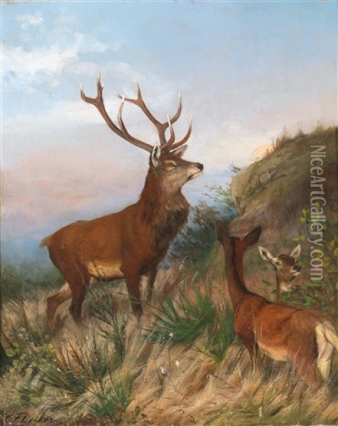 Red Deer At Dusk Oil Painting - Carl Friedrich Deiker