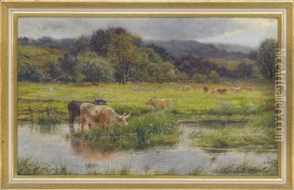 Cattle In The Scottish Lowlands Oil Painting - Louis Bosworth Hurt