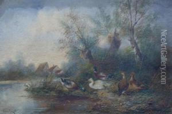 Ducks Along A Streambank Oil Painting - Ignaz Papauschek