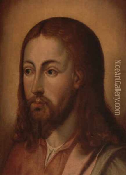 Cabeza De Cristo Salvador Oil Painting - Michiel Coxie the Elder