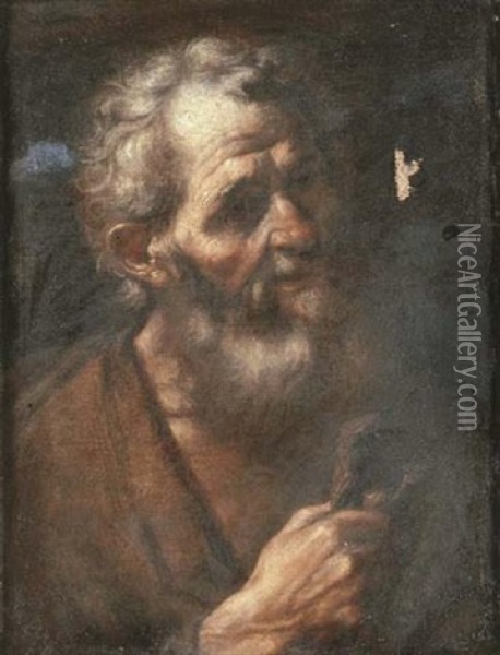 The Head Of An Old Man Oil Painting - Pier Francesco Mola