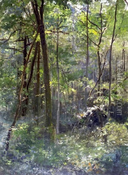 Metsansisusta (in The Forest) Oil Painting - Cesar De Cock