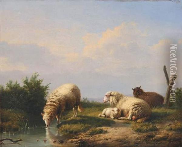 Moutons S'abreuvant A La Mare Oil Painting - Eugene Joseph Verboeckhoven