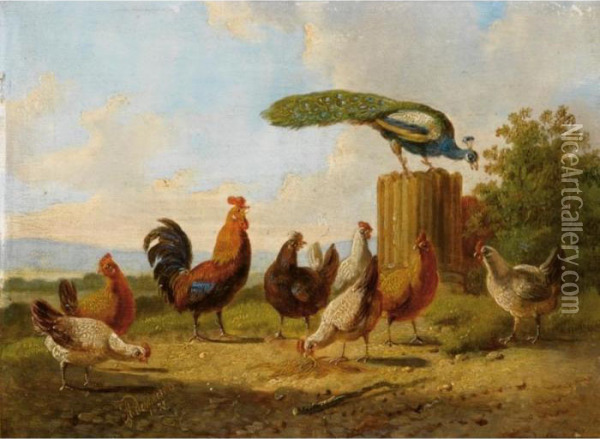 Poultry In A Landscape; A Hen And Her Chicks In A Landscape (a Pair) Oil Painting - Albertus Verhoesen