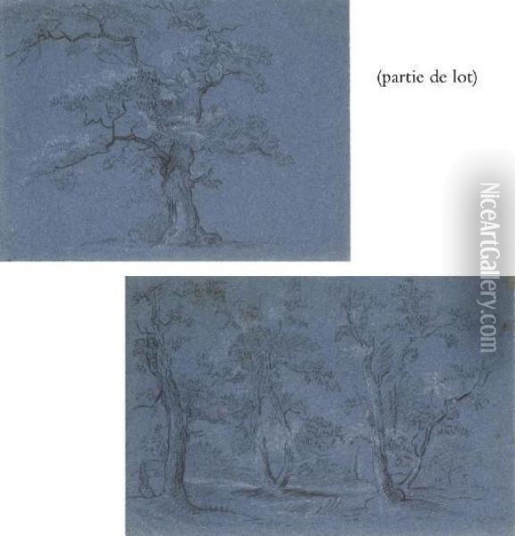Suite De Trois Etudes D'arbres Oil Painting - Jean-Baptiste Huet I