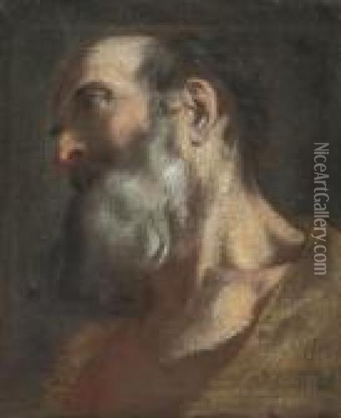 Head Study Of A Bearded Man In A Brown Coat Oil Painting - Federico Fiori Barocci