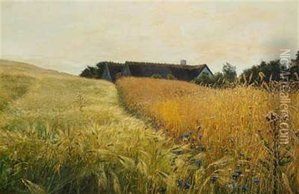 Sommerlandskab Med Strataekt Gard Omgivet Af Gyldne Kornmarker Oil Painting - Georg Nicolaj Achen