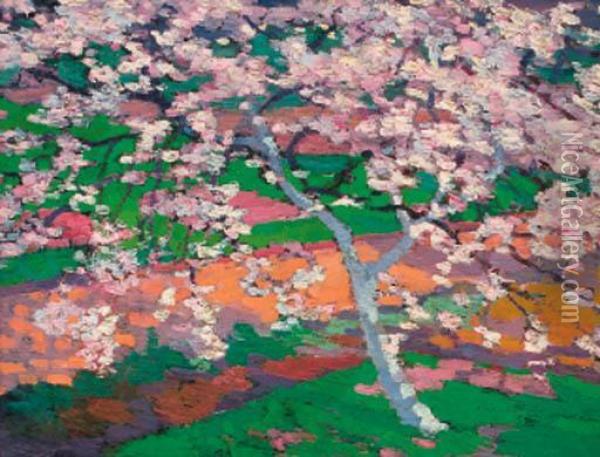 Cherry Blossom Oil Painting - Dorothy A. Cadman