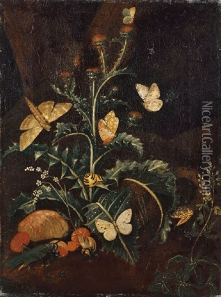 Sous-bois-stilleben Mit Schmetterlingen, Schnecken Und Einer Eidechse Oil Painting - Carl Wilhelm de Hamilton