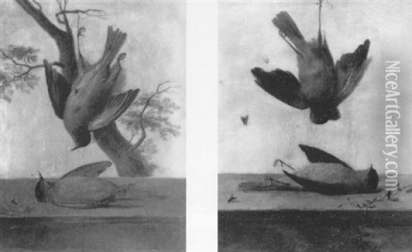Nature Morte Aux Oiseaux Sur Un Entablement Oil Painting - Jean Pierre Xavier Bidauld