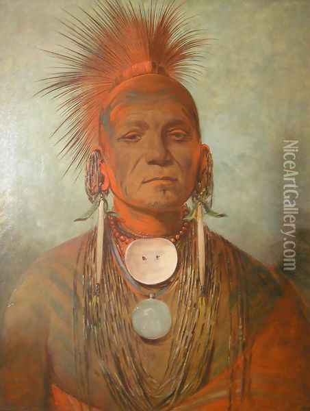 See-non-ty-a, an Iowa Medicine Man Oil Painting - George Catlin
