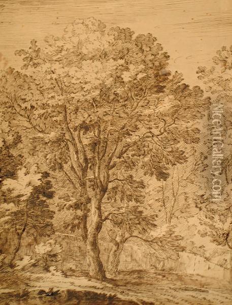 Study Of Trees Before A Wall Oil Painting - Jan Wildens