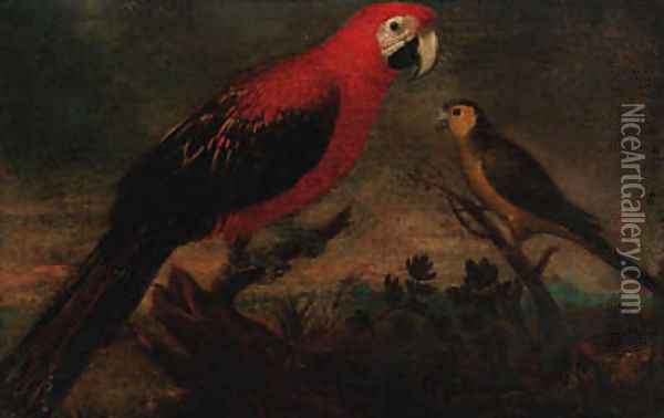 A scarlet macaw and a parrot in a landscape Oil Painting - Italian School