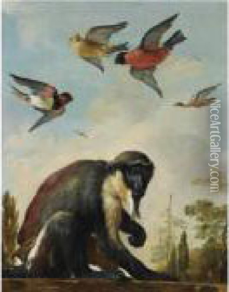 A Diana Monkey On A Chain In A Landscape With Four Colourful Birds In The Sky Oil Painting - Melchior de Hondecoeter