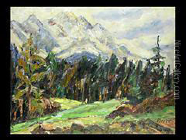 Alpenlandschaft Mit Nadelwald Oil Painting - Johanna H. Merre