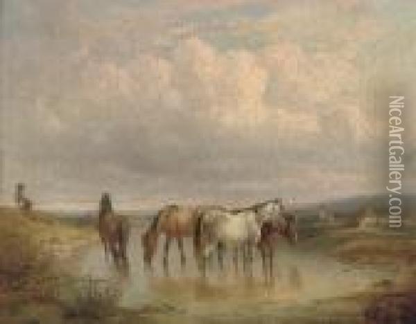 Ponies Watering In An Extensive Landscape Oil Painting - Fritz van der Venne