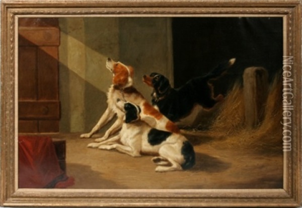 Three Setters In A Barn Oil Painting - John Barker