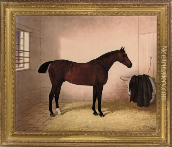 A Bay Horse In A Stable Oil Painting - E. Brown