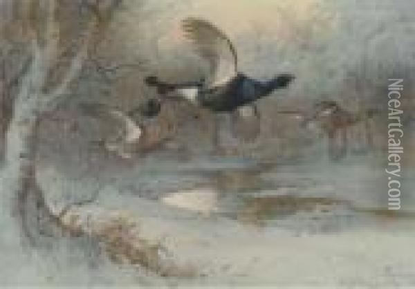 Grouse In Long Grass; And Another Similar Oil Painting - Archibald Thorburn